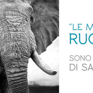 campagna pubblicitaria fimed1