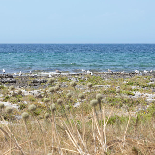 Servizio fotografico struttura ricettiva Isola beach